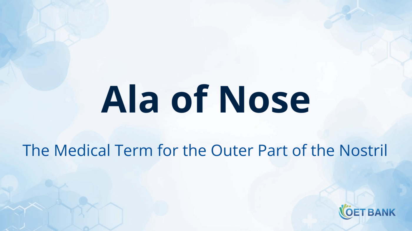 Ala of Nose – Meaning and Usage in Medical English