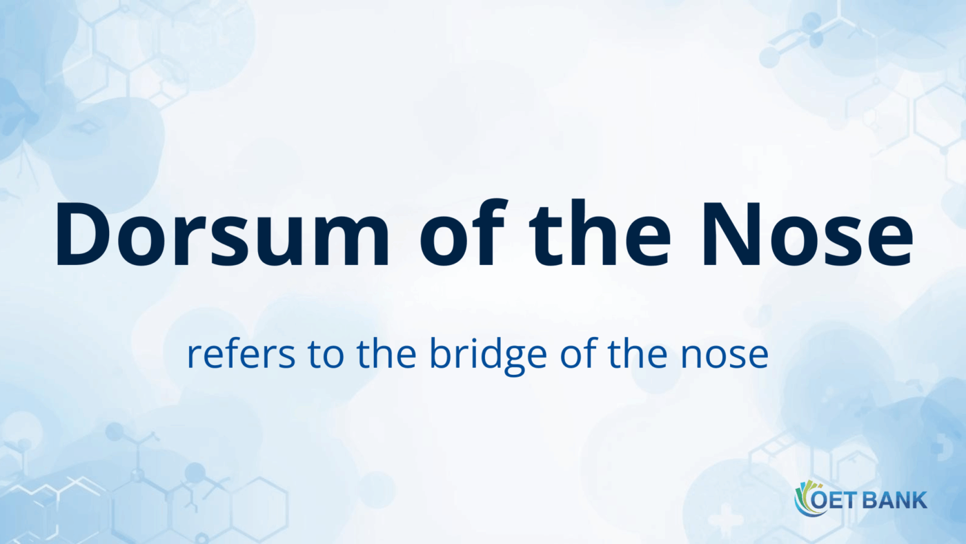 The dorsum of the nose refers to the bridge of the nose