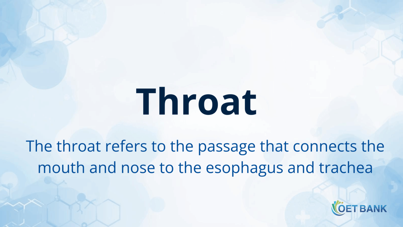Medical header banner with the title “Throat