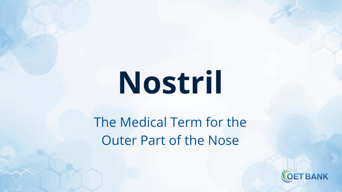 A medical banner showing the title “Nostril – The Medical Term for the Outer Part of the Nose” on a light blue background.