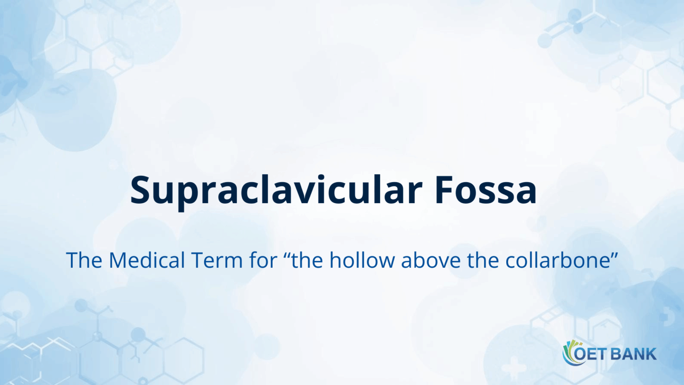 Supraclavicular Fossa – Meaning and Usage in Medical English