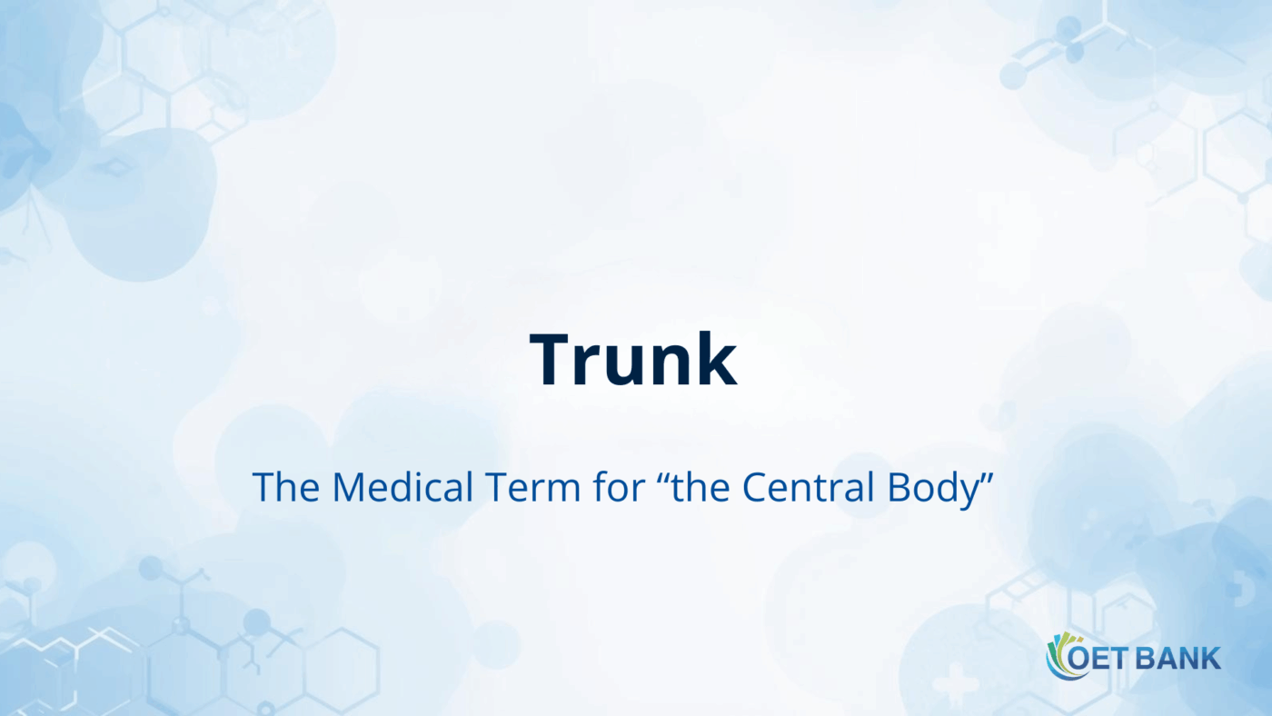 Trunk - The Medical Term for “the Central Body”