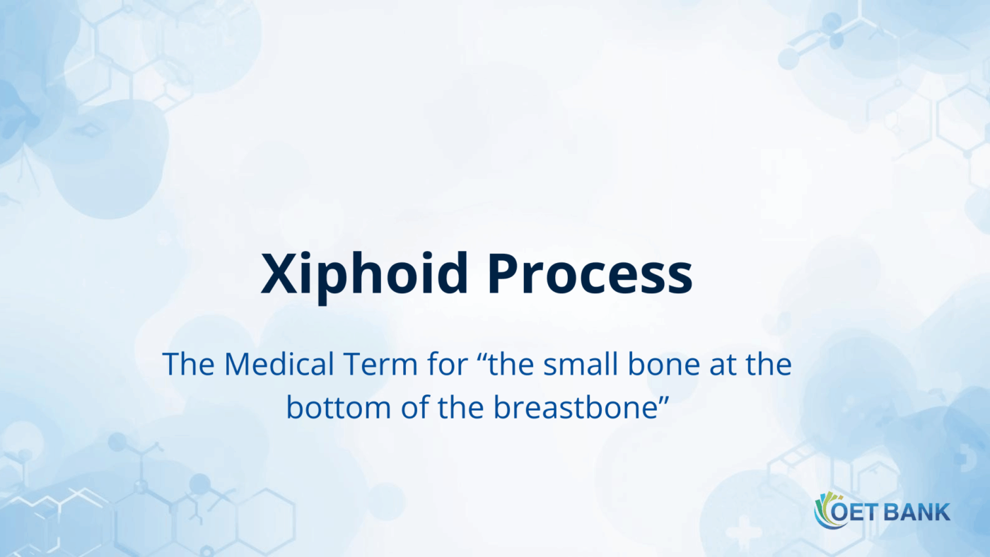 Xiphoid Process – The Medical Term for “the small bone at the bottom of the breastbone”