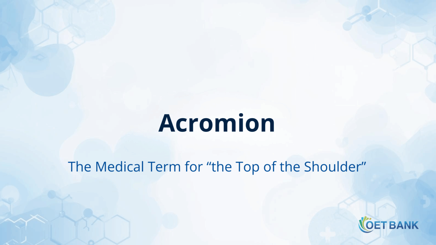 Acromion – The Medical Term for “the Top of the Shoulder