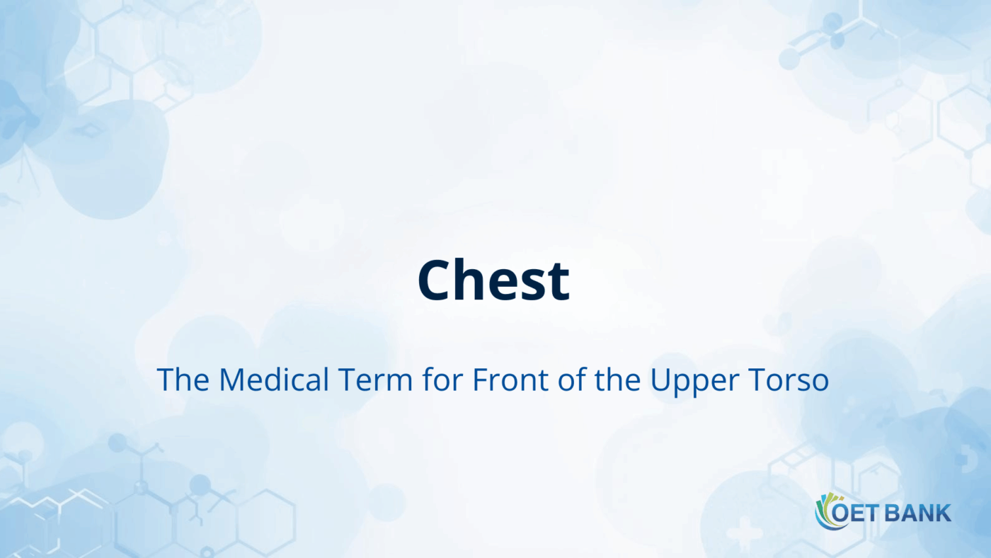 Chest – The Medical Term for “Front of the Upper Torso