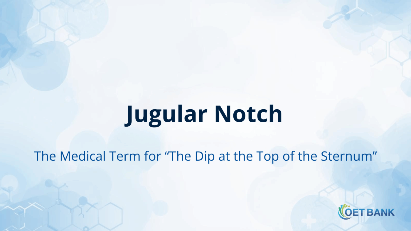 Jugular Notch - The Medical Term for “The Dip at the Top of the Sternum”