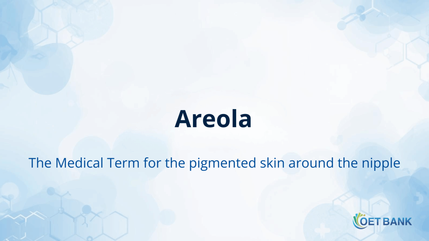Areola - The Medical Term for the pigmented skin around the nipple