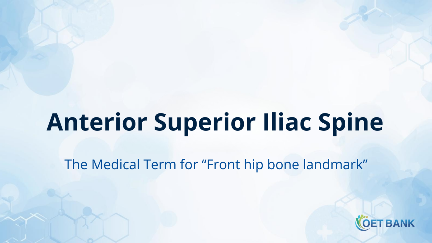 Anterior Superior Iliac Spine – The Medical Term for “Front hip bone landmark”
