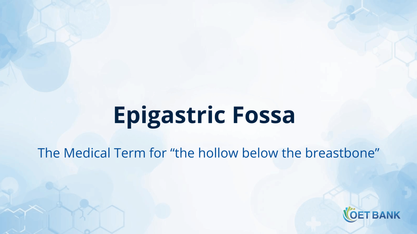 Epigastric Fossa – The Medical Term for “the hollow below the breastbone”