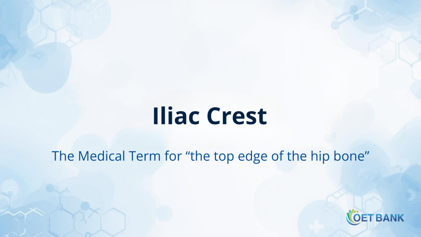 Iliac Crest – The Medical Term for “the top edge of the hip bone”