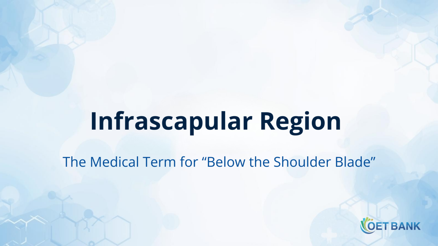 Infrascapular Region – The Medical Term for “Below the Shoulder Blade”