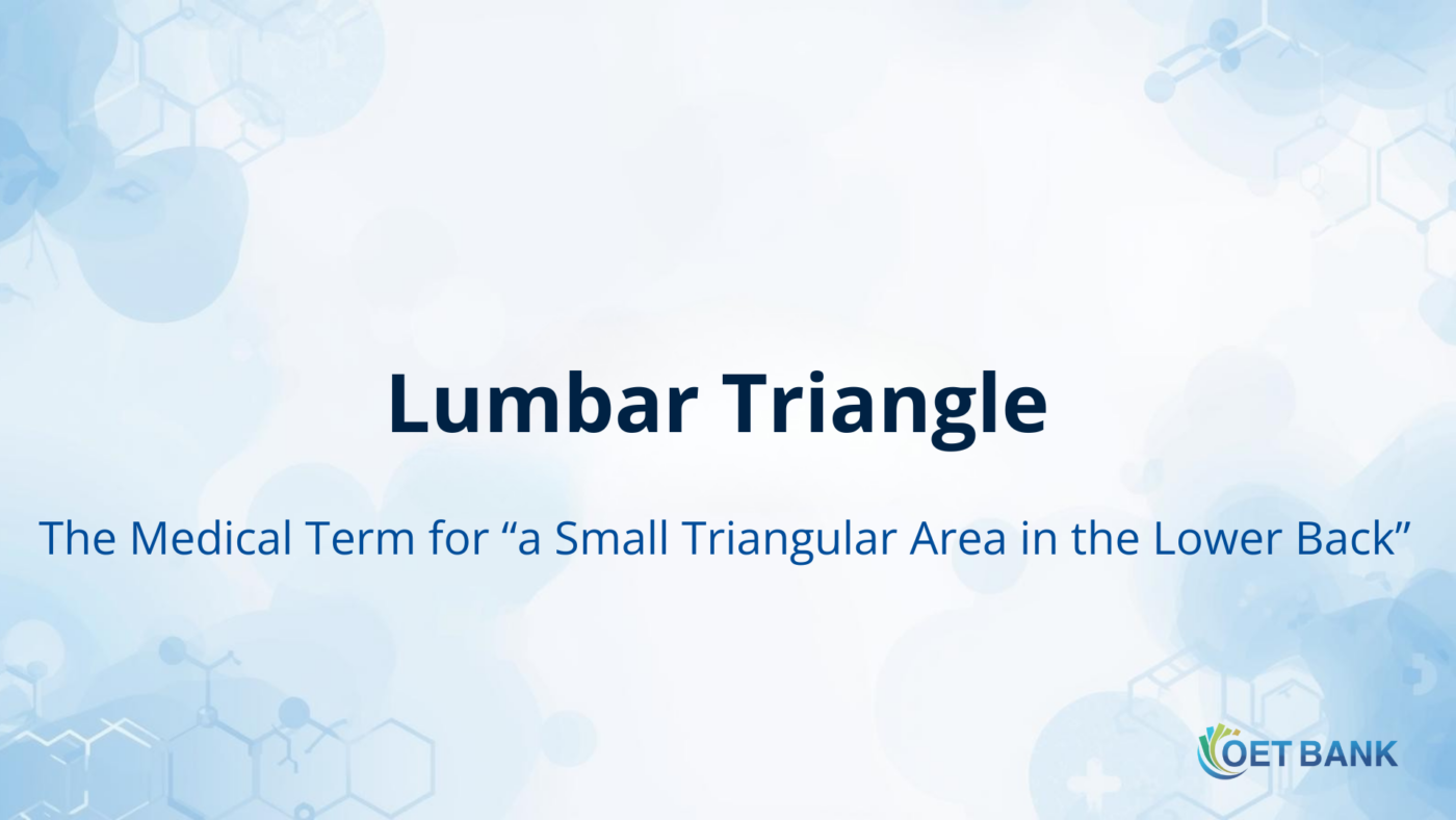 Lumbar Triangle – Meaning and Usage in Medical English