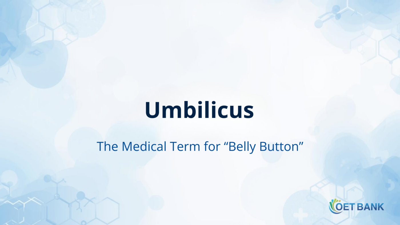 Umbilicus – The Medical Term for “Belly Button”