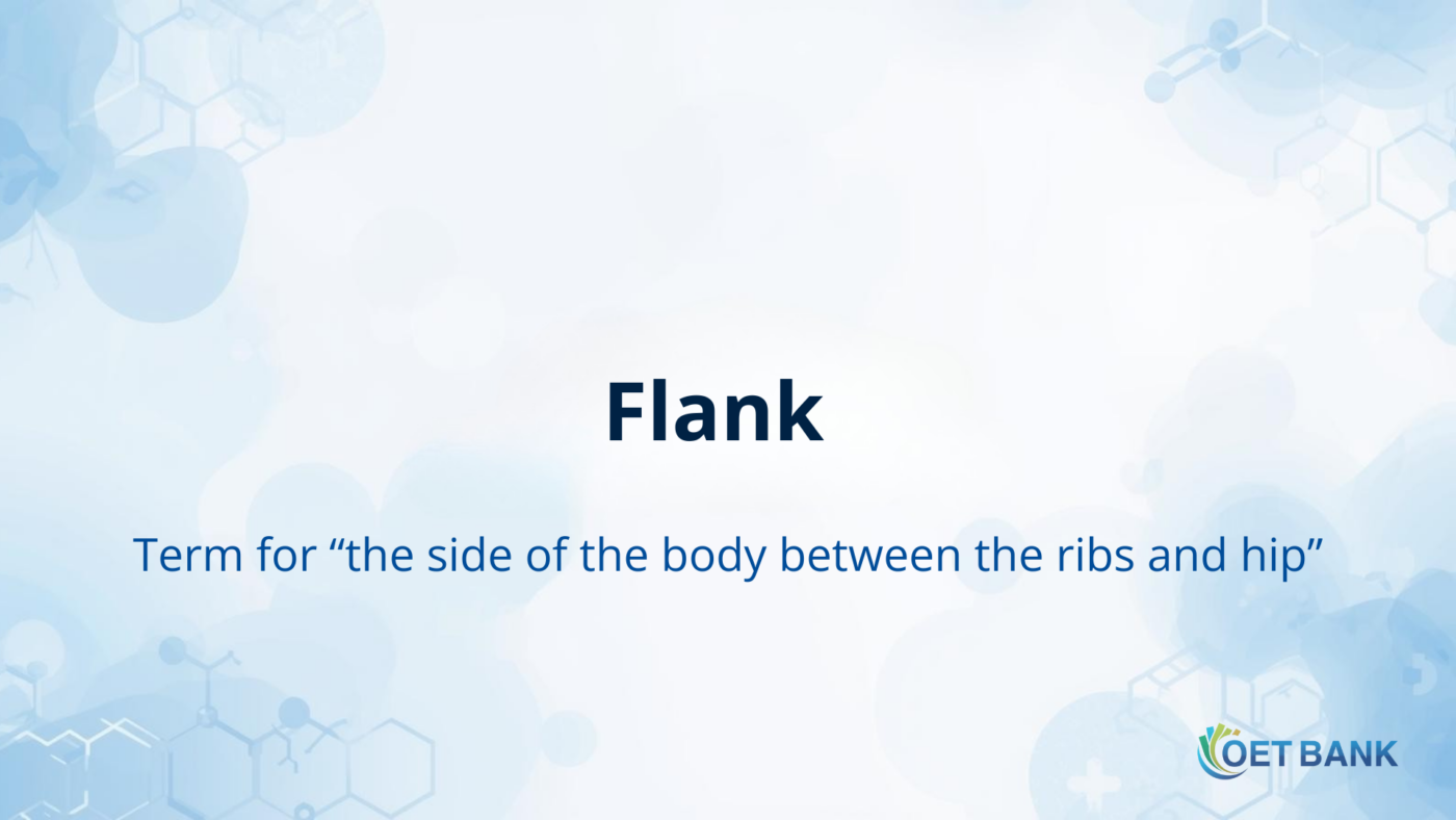 Flank – The Medical Term for “the side of the body between the ribs and hip”