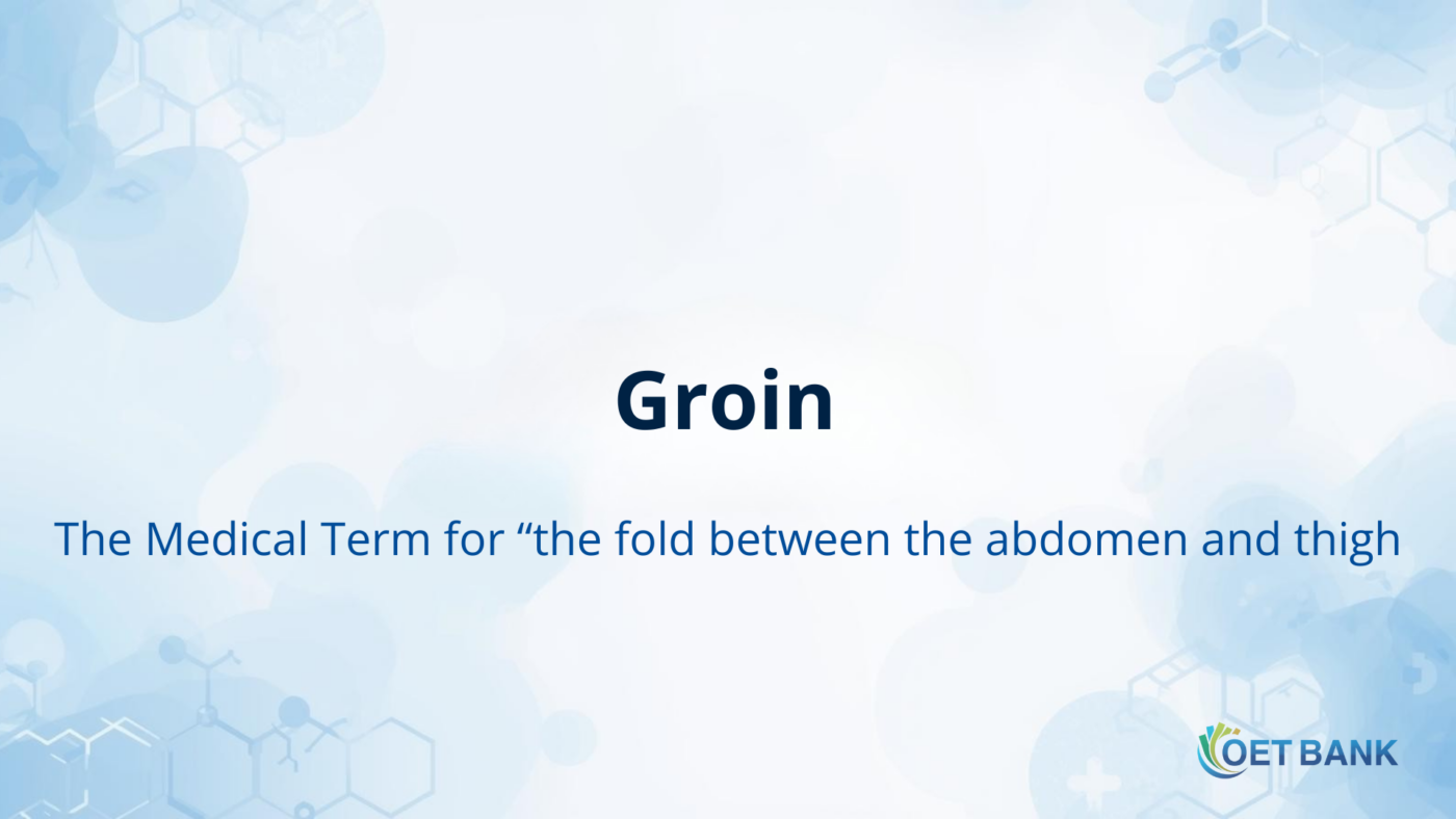 Groin – The Medical Term for “the fold between the abdomen and thigh”