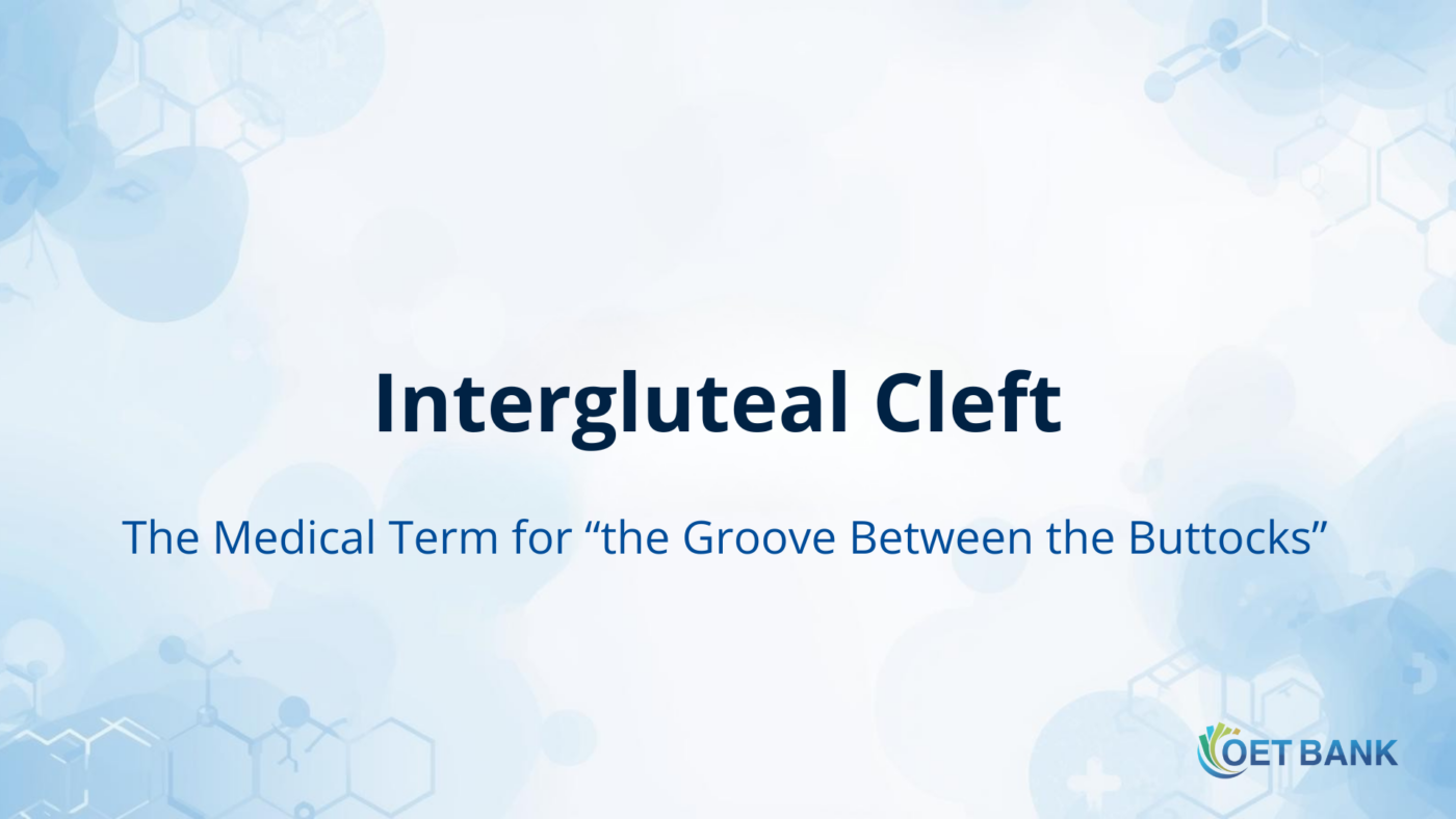 Intergluteal Cleft – The Medical Term for “the Groove Between the Buttocks”