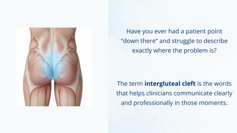Intergluteal Cleft – Meaning and Usage in Medical English | OET BANK