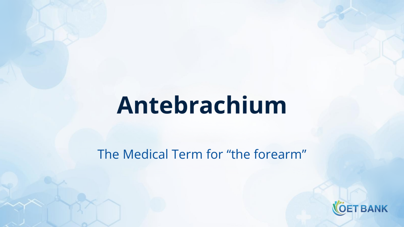 Antebrachium – The Medical Term for “the forearm”