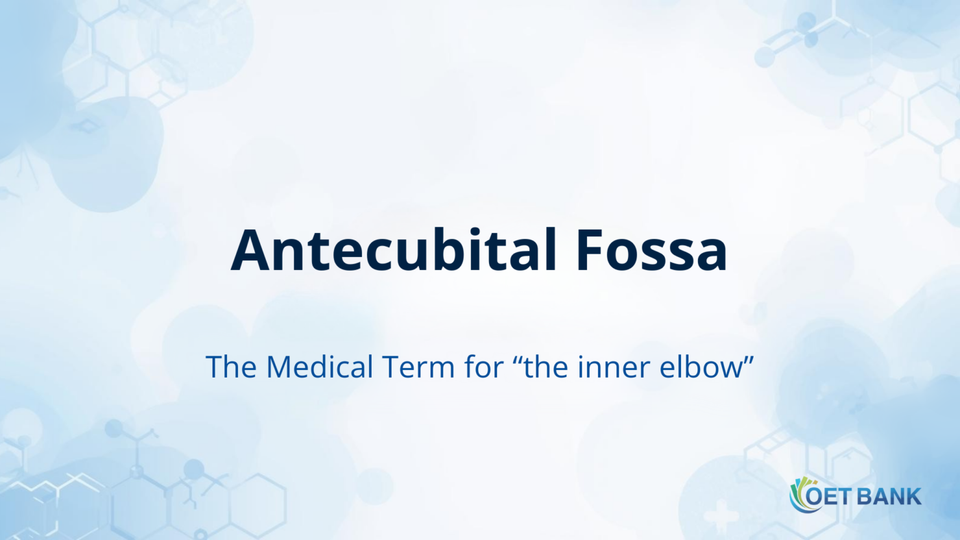 Antecubital Fossa – The Medical Term for “the inner elbow”