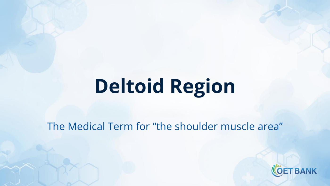 Deltoid Region – The Medical Term for “the shoulder muscle area”