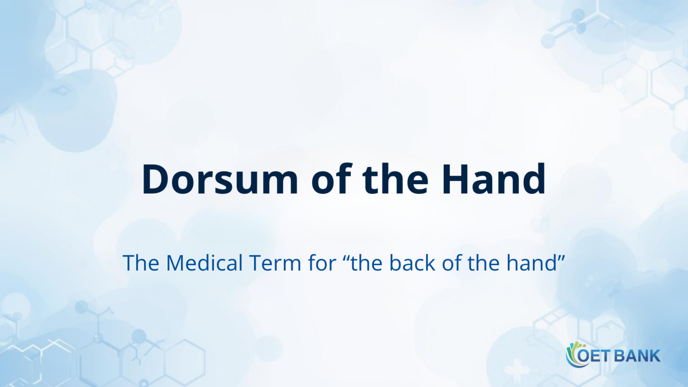 Dorsum of the Hand – The Medical Term for “the back of the hand”