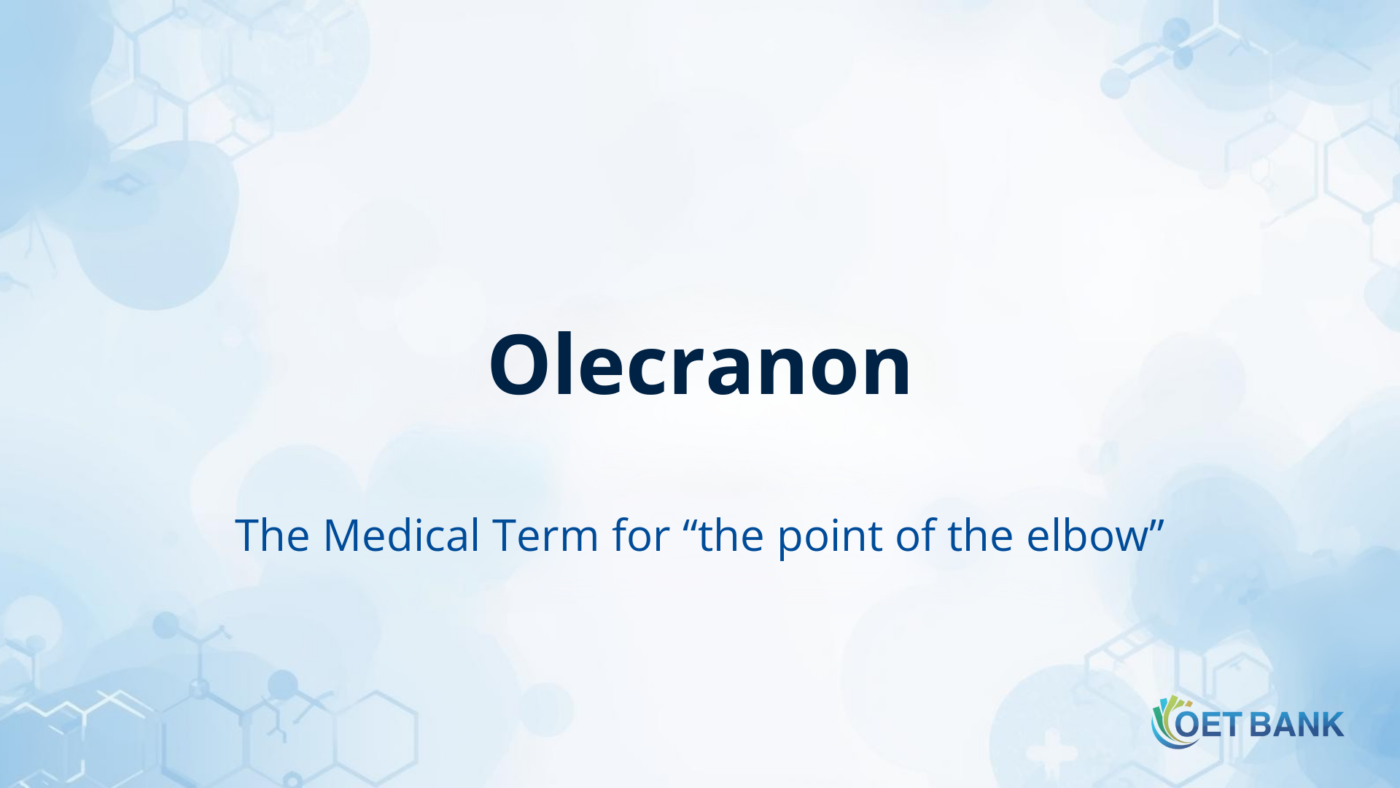 Olecranon – The Medical Term for “the point of the elbow”