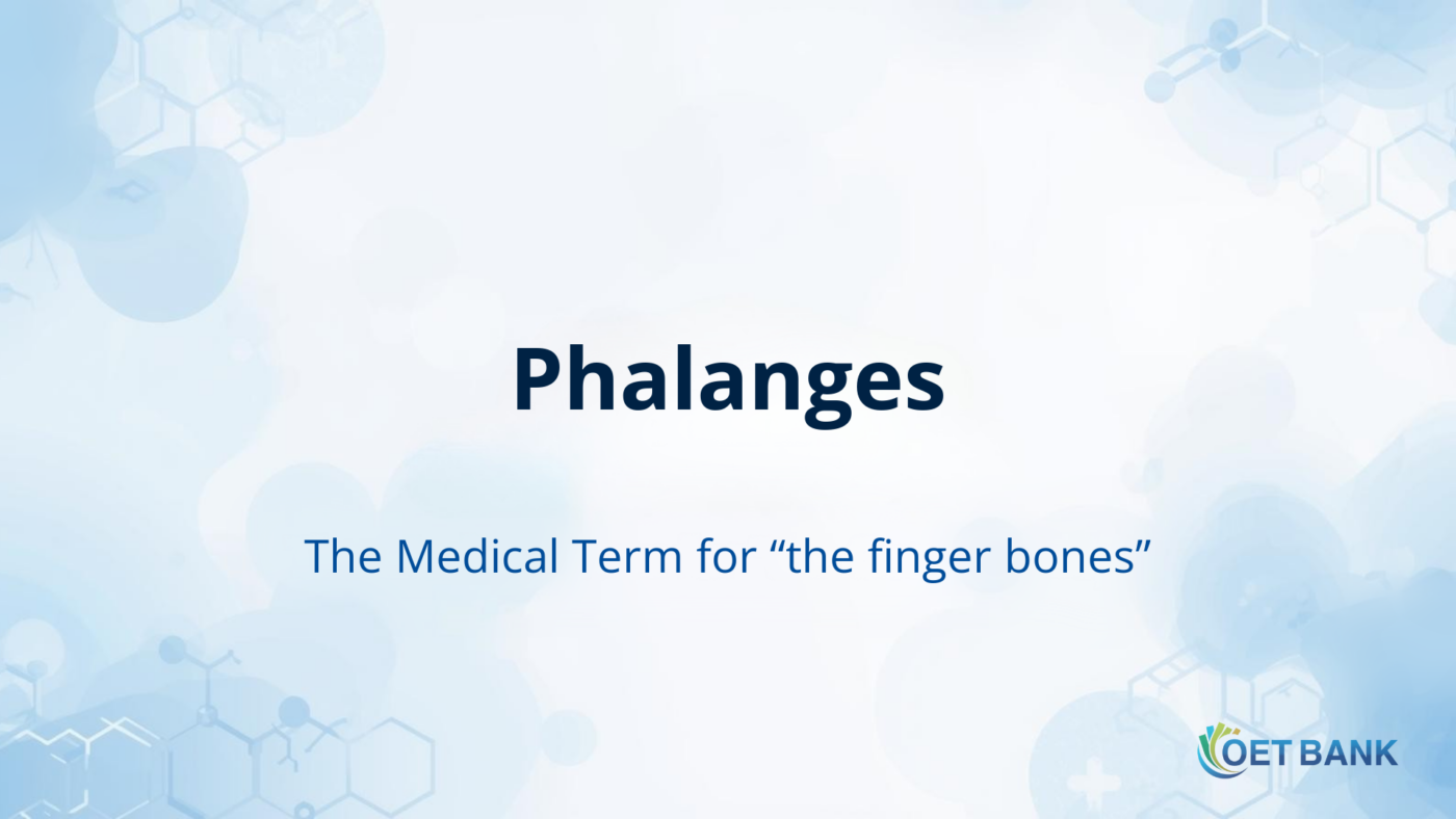 Phalanges – The Medical Term for “the finger bones”