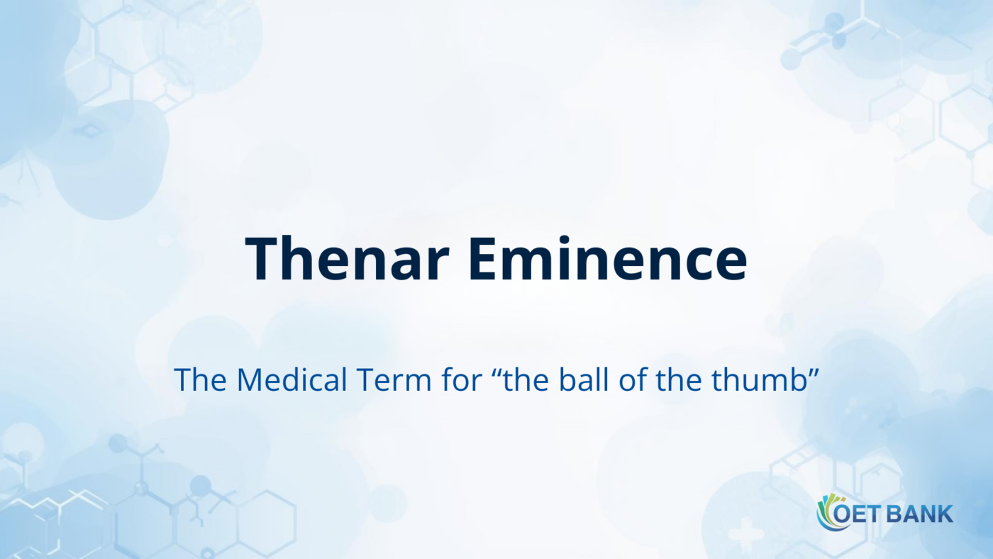 Thenar Eminence – The Medical Term for “the ball of the thumb”