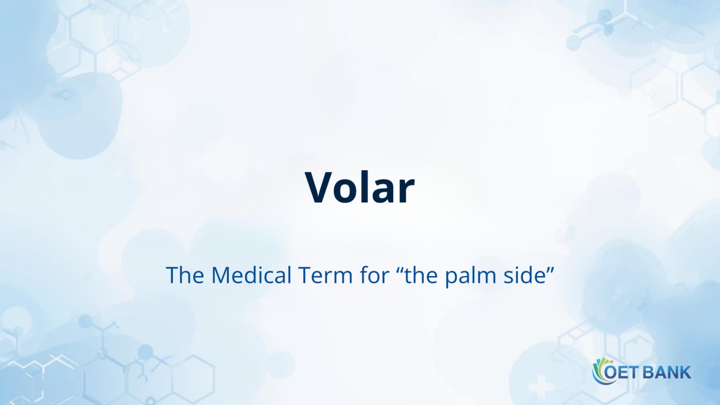 Volar – The Medical Term for “the palm side”